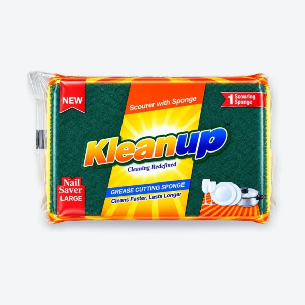 Scourer Sponge